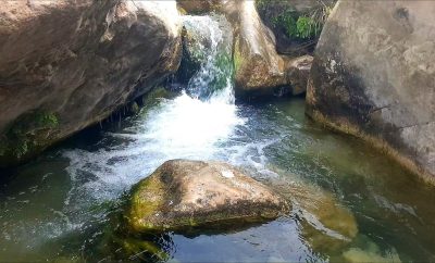 Las 10 mejores instantáneas en Ludiente