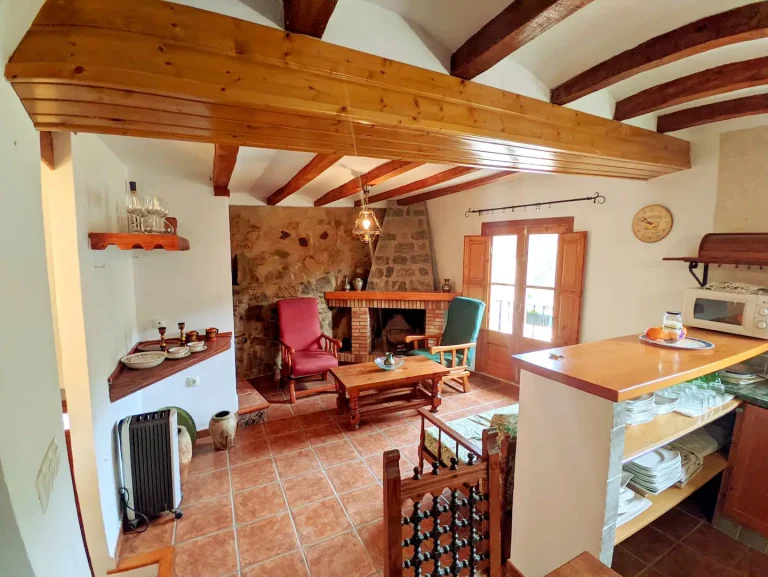 BARRA AMERICANA Y CHIMENEA