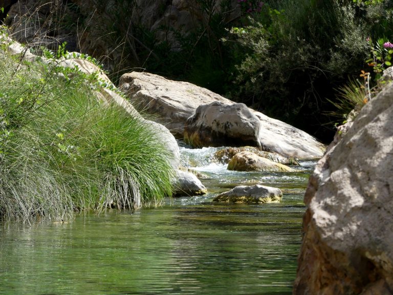 Foto rio en Ludiente